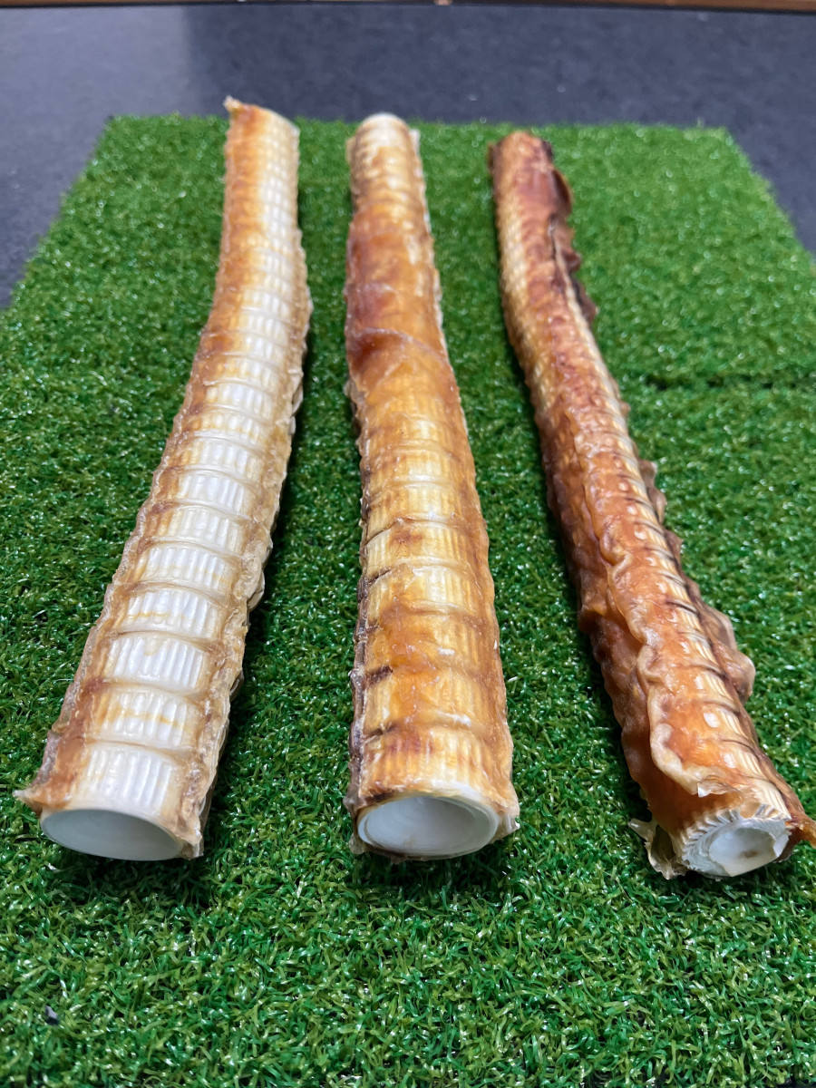 サメボーン肉付き