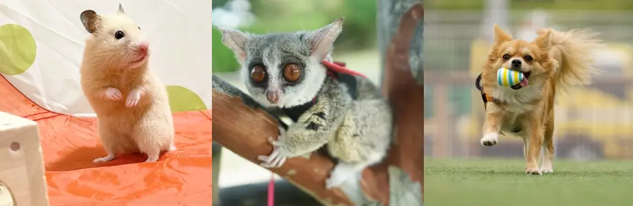 小売・通販事業