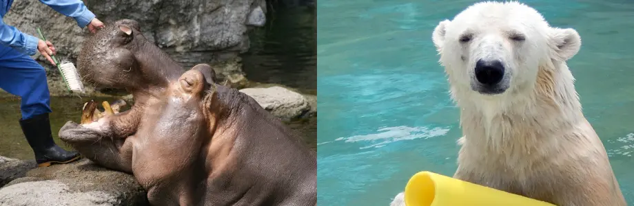 特殊・専門事業