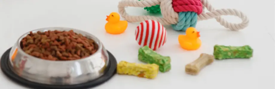 国内のペット専門店