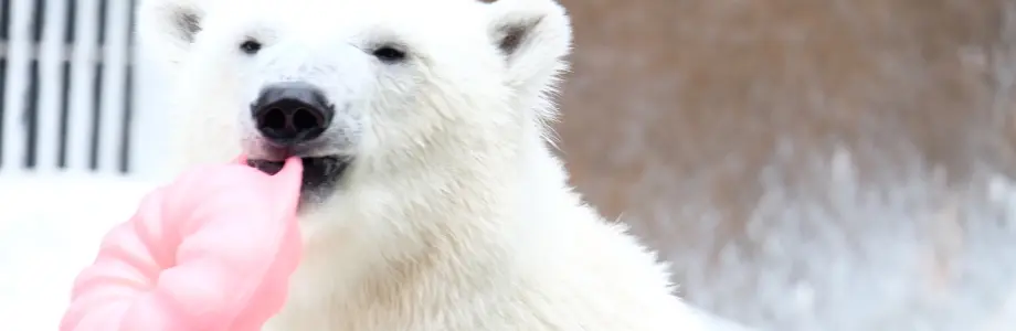 動物園・水族館