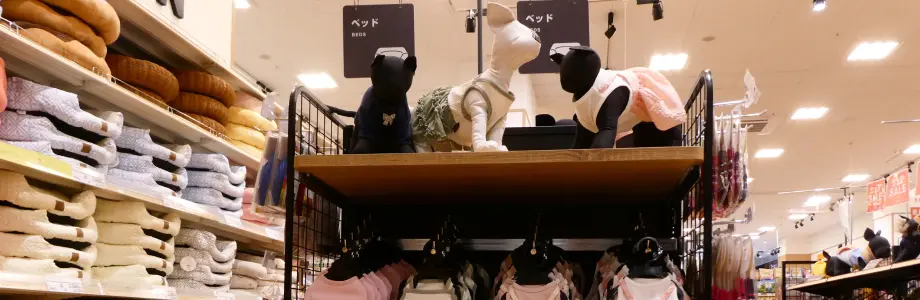 専門店への卸売