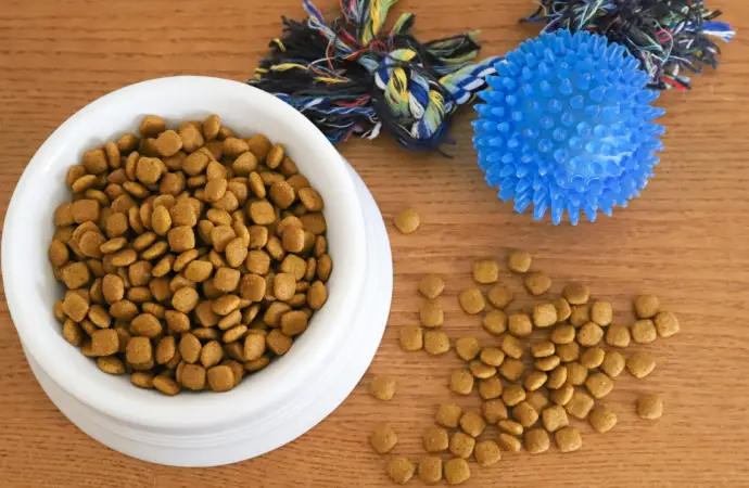 国内仕入・卸売事業